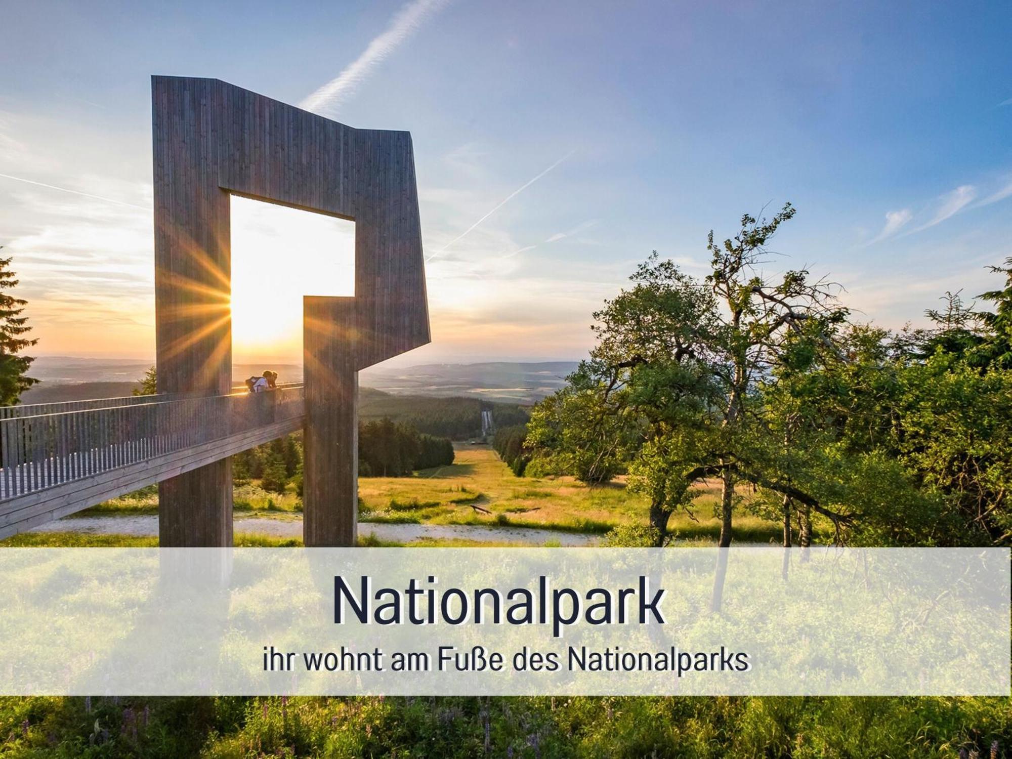 אלנבאך Natur-Chalet Zum Nationalpark Marie-Luise Inkl E-Auto מראה חיצוני תמונה